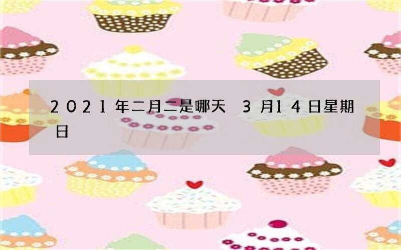 2021年二月二是哪天 3月14日星期日